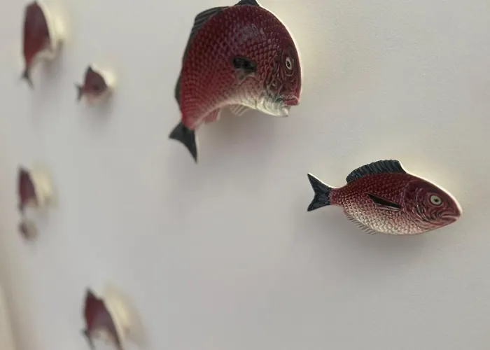 Baixa Rooftop Duplex |